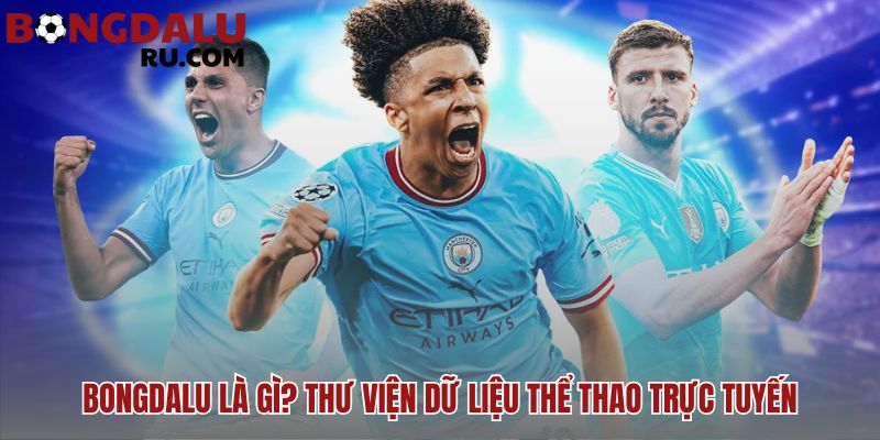 Bongdalu vận hành như một công cụ tra cứu hàn lâm trung lập