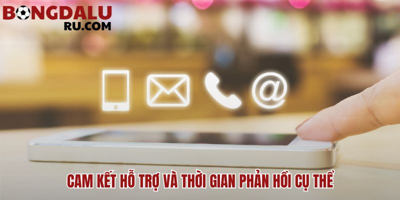 Cam kết phản hồi chuyên nghiệp mọi liên hệ trong 24 giờ